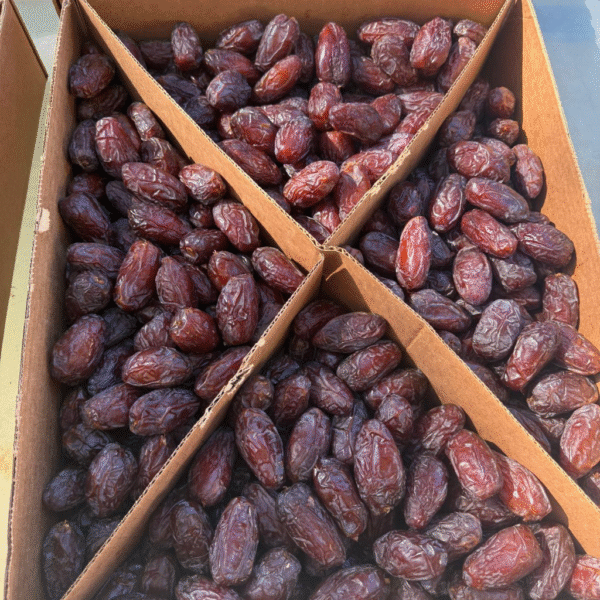 Medjool Date